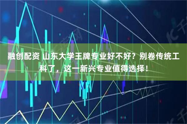 融创配资 山东大学王牌专业好不好？别卷传统工科了，这一新兴专业值得选择！